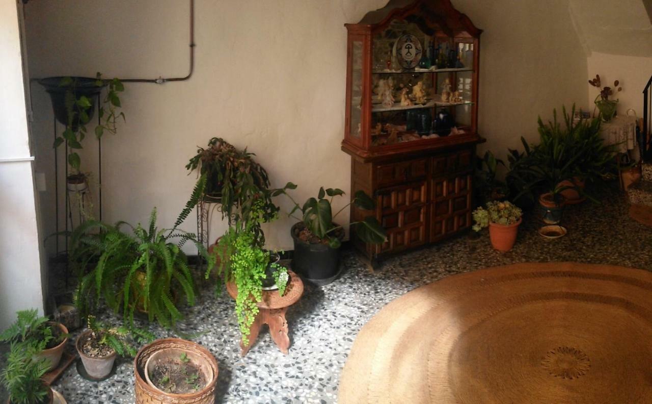 Apartament Rural Vilaplana Exterior photo